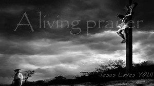 A Living Prayer - Alison Krauss - NetHugs.com