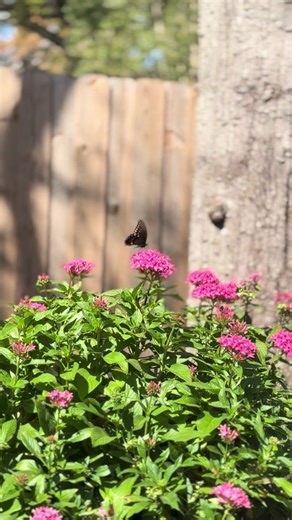 Signs of spring after a hard winter 🩷 | spring