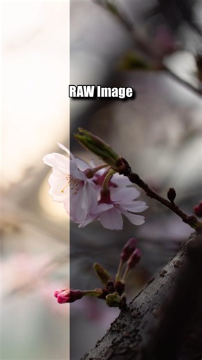Why Editing RAW Images Matters… #photography