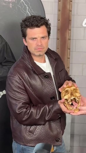 Sebastian Stan’s Iconic Hair Moments