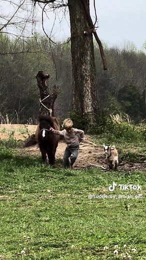 Breaking Amish Stereotypes: The Truth About Rules