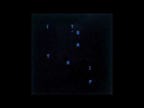 Joywave - It's A Trip! (Audio)