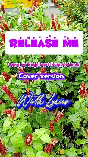 94K views · 1K reactions | Release Me with Lyrics Cover version #releaseme DISCLAIMER: I hereby declare that I do not own the rights to this music/song. All rights belong to the owner. Thank you for Watching God Bless | Mel Anie | Facebook