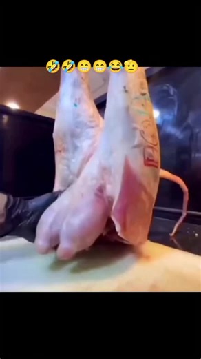 Prince Comedy's Hilarious Video Moments