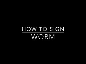 Learn How to Sign the Word Worm