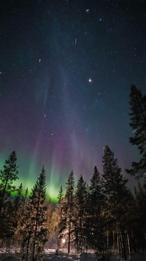 Forest sleeps #relax #livewallpaper #relaxingmusic #animation #forsleep #sleepmusic #naturesounds