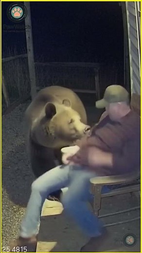 Bear Scares Man | CCTV Caught the Funniest Reaction! 🐻