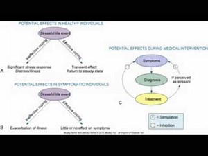 Stress and Adaptation