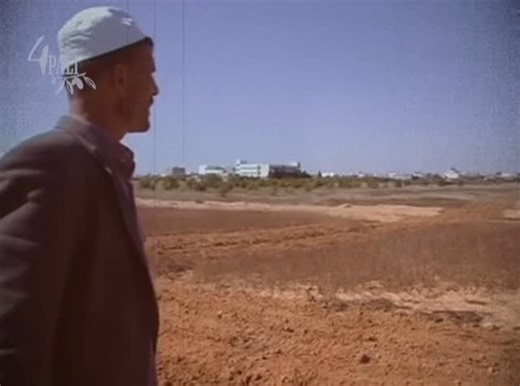 4pali on Instagram: "🎞️ where should the birds fly (2013) #fyp #documentary"
