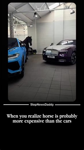 Step news Daddy on Instagram: "😮 Did you know the most expensive horse ever sold was the Thoroughbred racehorse Fusaichi Pegasus, purchased in 2000 for an estimated $70 million due to his Kentucky Derby win and elite bloodline. The record for a public auction sale belongs to The Green Monkey, a two-year-old Thoroughbred sold in 2006 for $16 million at the Fasig-Tipton Calder auction. Among show jumpers, Palloubet d’Halong holds one of the highest private sale prices, reported around $15 million