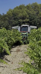 3.5K views · 716 reactions |  Our particularly robust and yet...