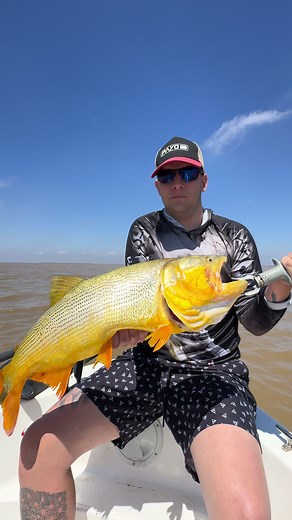 Buenos dorados 🙌🏻🎣