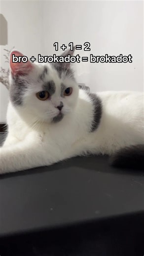 that’s simple #brokadot