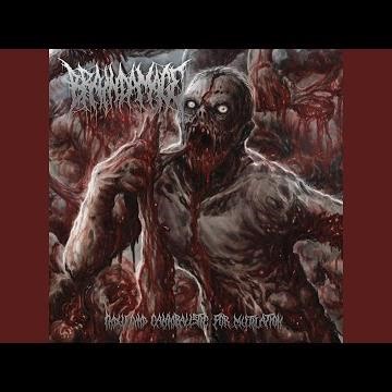 Maggots on Human Carcass