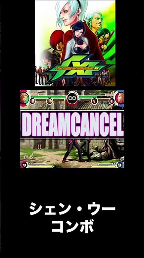 （PS2）KOFⅪ コンボ25 シェン・ウーソロ #kof11 #kofxi #ザキングオブファイターズ #格闘ゲーム