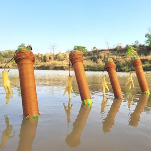 Amazing fishing method discovery Village boy catching Fish with best Hook fishing technique with chicken leg baits. #fish_trap | Discovery Site