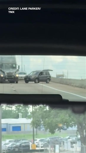 6.7M views · 12K reactions | VIDEO: An armed woman sat in a lawn chair in the middle of a freeway, causing traffic to shut down. https://bit.ly/40oIuKM | WFLA News Channel 8 | Facebook
