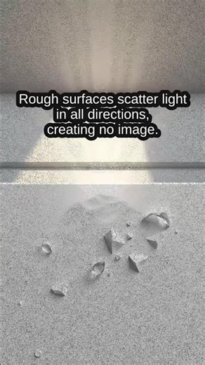 Unveiling Reflections: A Dance of Light