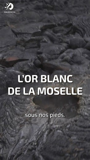 La Moselle : futur DUBAÏ de l'énergie ? 🤑⛽️ #moselle #news #actu #france