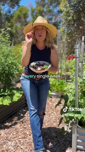 In My Patch gardening on TikTok