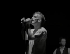 7.6K views · 110 reactions | King Of Birds R. E. M. | Música para disfrutar | Facebook