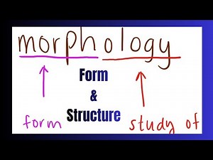 Morphology | Form and Structure | Prashanth Karuppasamy | ‪@NolanVenilCinemasEducation‬