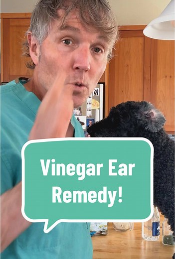 White Vinegar for Treating Dog Ear Infections