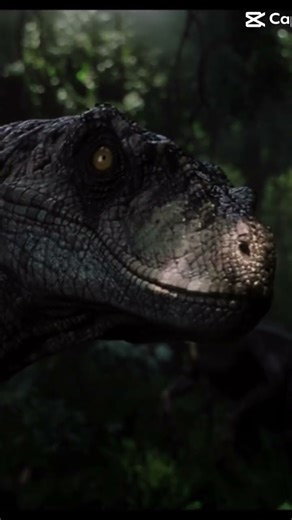 My top 5 favorite Dinosaurs from 5 to 1