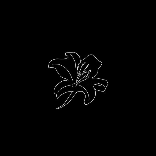 #WADAMASANARI :: back on my bullshit