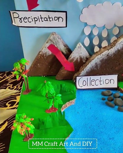 Water Cycle Science Project/ Science Project/Science project #scienceexhibition #sciencefairproject