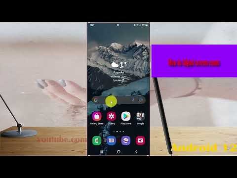 Samsung Galaxy S22 Ultra : How to Adjust screen zoom