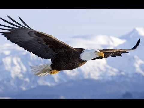 ADA EHI -I OVERCAME( LONG VERSION)