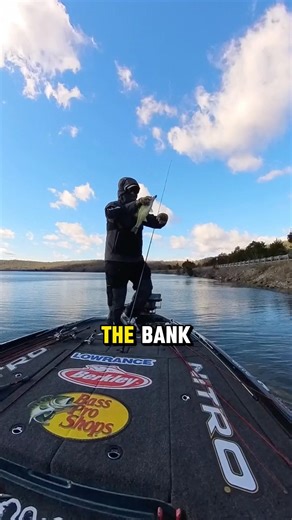 🥶🥵Spring Fishing 101