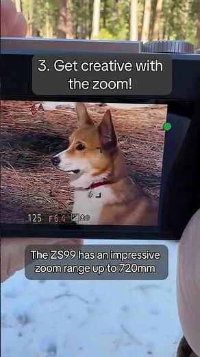 Some of our favorite tips for the TZ99/ZS99! #ShotonLUMIX #LUMIXZS99 #PointandShoot #Digicam