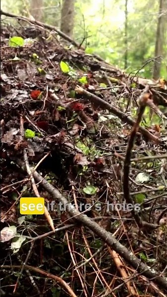 Expert shows the easiest survival shelter anyone can do.