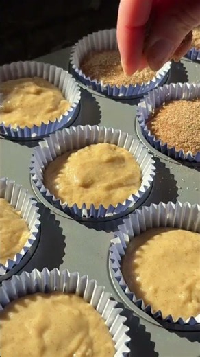 Cinnamon Sugar Muffins
