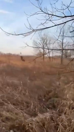 13 reactions | Beautiful time of year! | Dakota Stables | Facebook