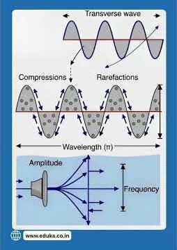 Why Sound Hits Different: Compressions, Rarefactions, & Vibes | Physics | IIT-JEE | #iit #neet