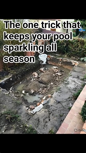 Best Tips for Keeping Your Swimming Pool Sparkling Clean
