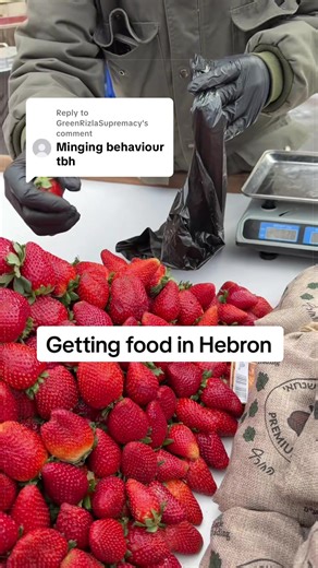 Exploring Hebron: A Solo Traveler's Experience