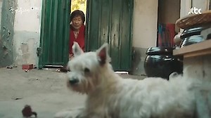 Watch The Light in Your Eyes Season 1 Episode 4 - Episode 4