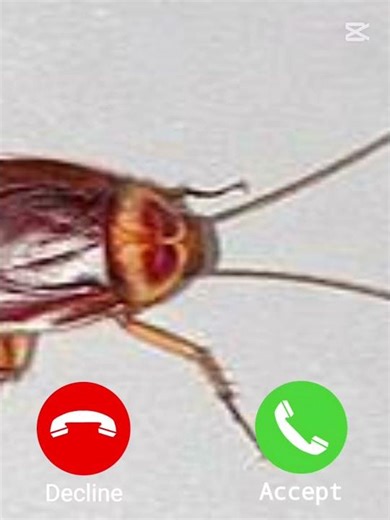 أحلام العصر #subscribe #like