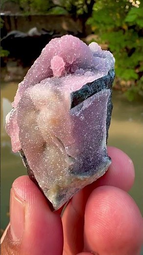 Crystallized Rose Quartz on Schorl from Afghanistan