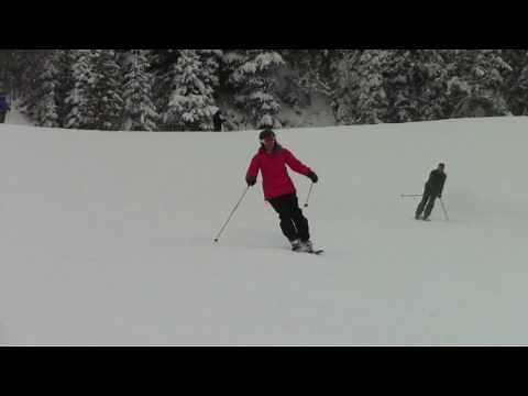 Parallel Skiing - 2 - PSIA - Level 2 - Movement Analysis Training