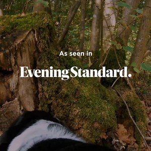 51K views · 25 reactions | What does The Pack, GQ and Glamour all have in common? Loving the step-by-step pet tracking provided by Tractive. | Tractive | Facebook