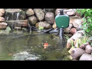 Koi autofeeder review