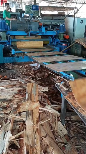 Automated production line timber eucalyptus rotary cutting