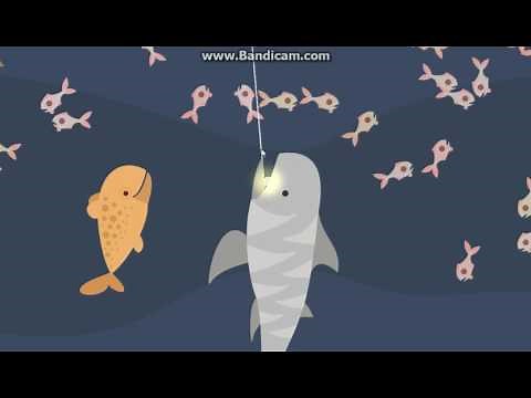 Cat Goes Fishing How to catch a Tiger Shark REALISM