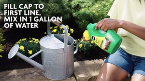 Miracle-Gro Quick Start Planting and Transplant Starting Solution, 48 oz.