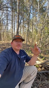 543 reactions · 13 shares | Ever seen inside a beaver den? #beavers #viralreels #TheGreatOutdoors #dam #inside | Zachary Farmer | Facebook